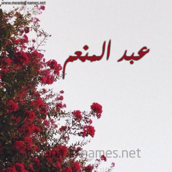 شكل 18 صوره الورد الأحمر للإسم بخط رقعة صورة اسم عبد المُنْعم ABD-ALMONAM